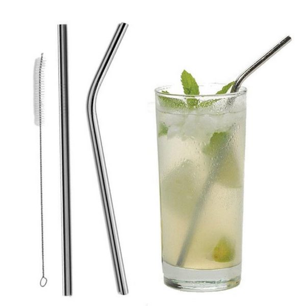 Ecotech Stainless Steel Drinking Straw