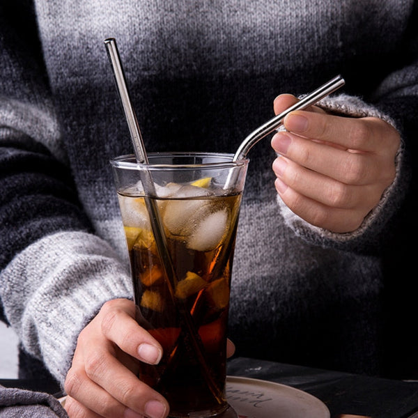 Ecotech Stainless Steel Drinking Straw