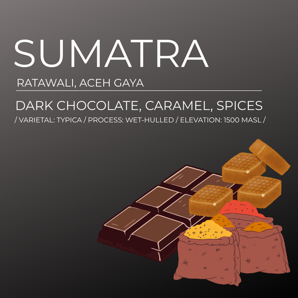 8.8 Oz Sumatra Single Origin Coffee