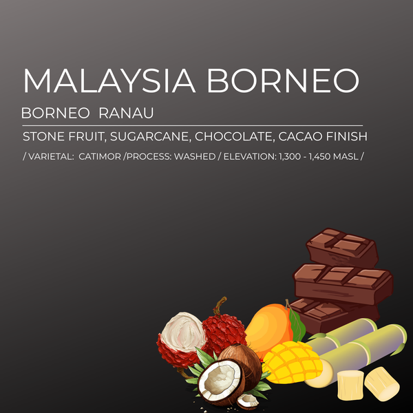 8.8 Oz Borneo Single Origin Coffee