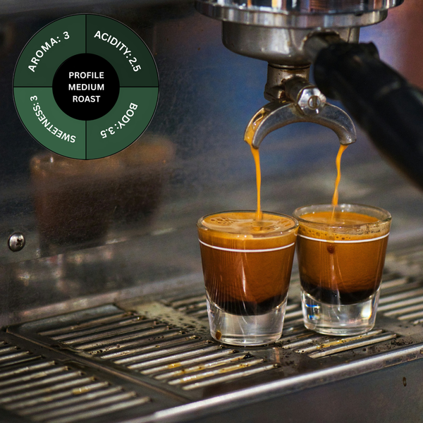 8.8 Oz Sumatra Single Origin Coffee