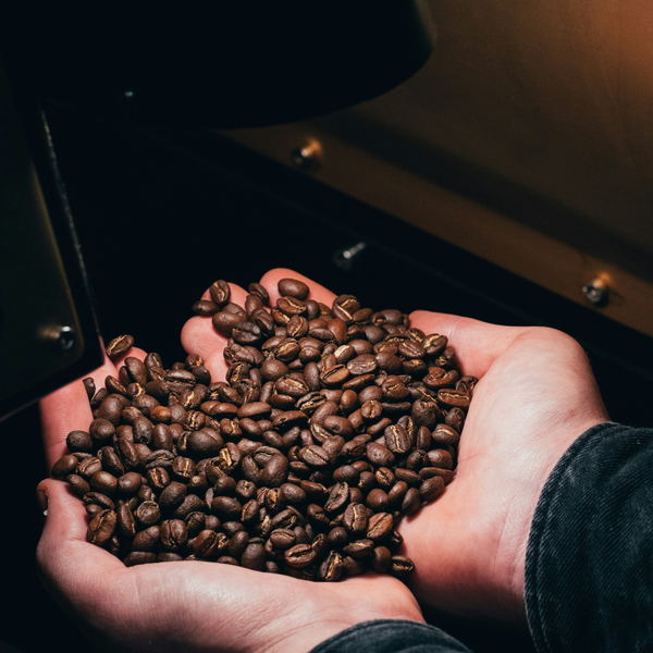Starbrew Midnight Reserve Blend™